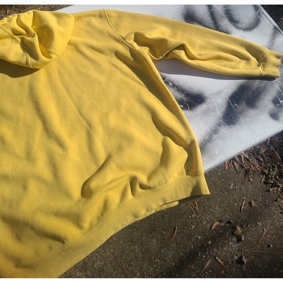 Carhartt Pullover Hoodie Sweatshirt Sleeve Graphic Loose Fit - Picture 9 of 12